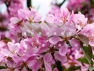 非刑事辦案機關(guān)轉(zhuǎn)給檢察院材料應(yīng)如何使用？